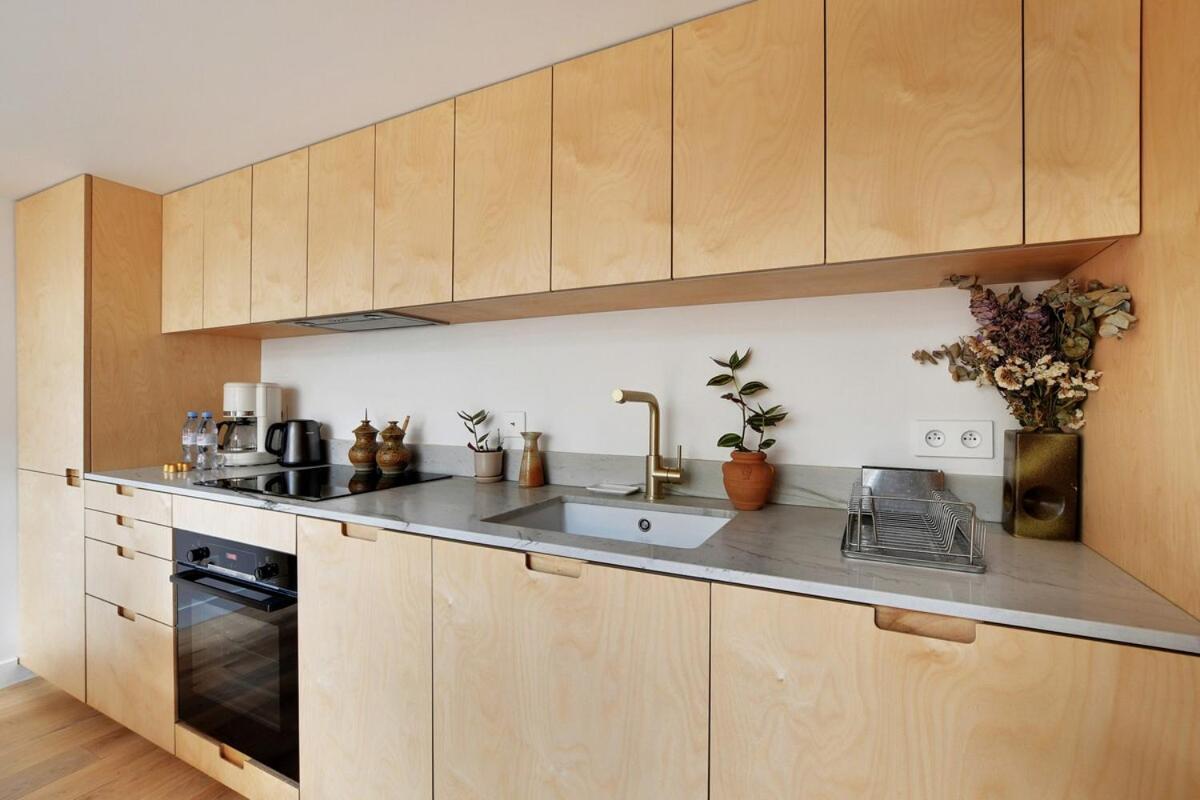 Bright Loft With Terrace - Belleville Appartement
